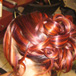 Carnot Coiffure - Photos